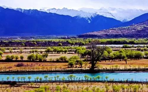 拉林高速最美段,公路的颜值