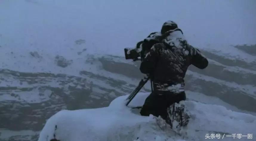 我打赌，这部「三级片」让你从此走上喵生巅峰！