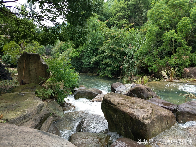 庭院鱼池放泥巴怎么保证水不浑,庭院小型鱼池消毒后怎么养水