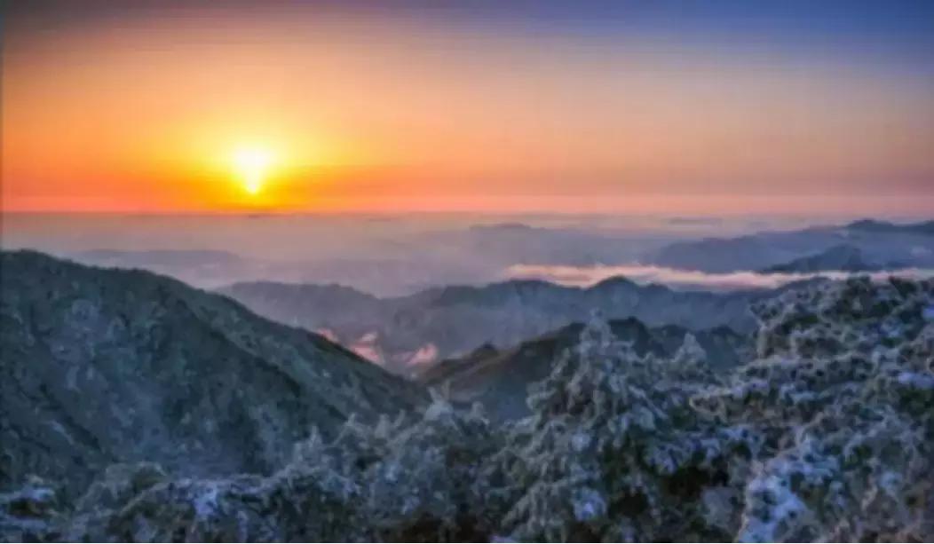 免费吃杀猪菜,吃免费的杀猪饭