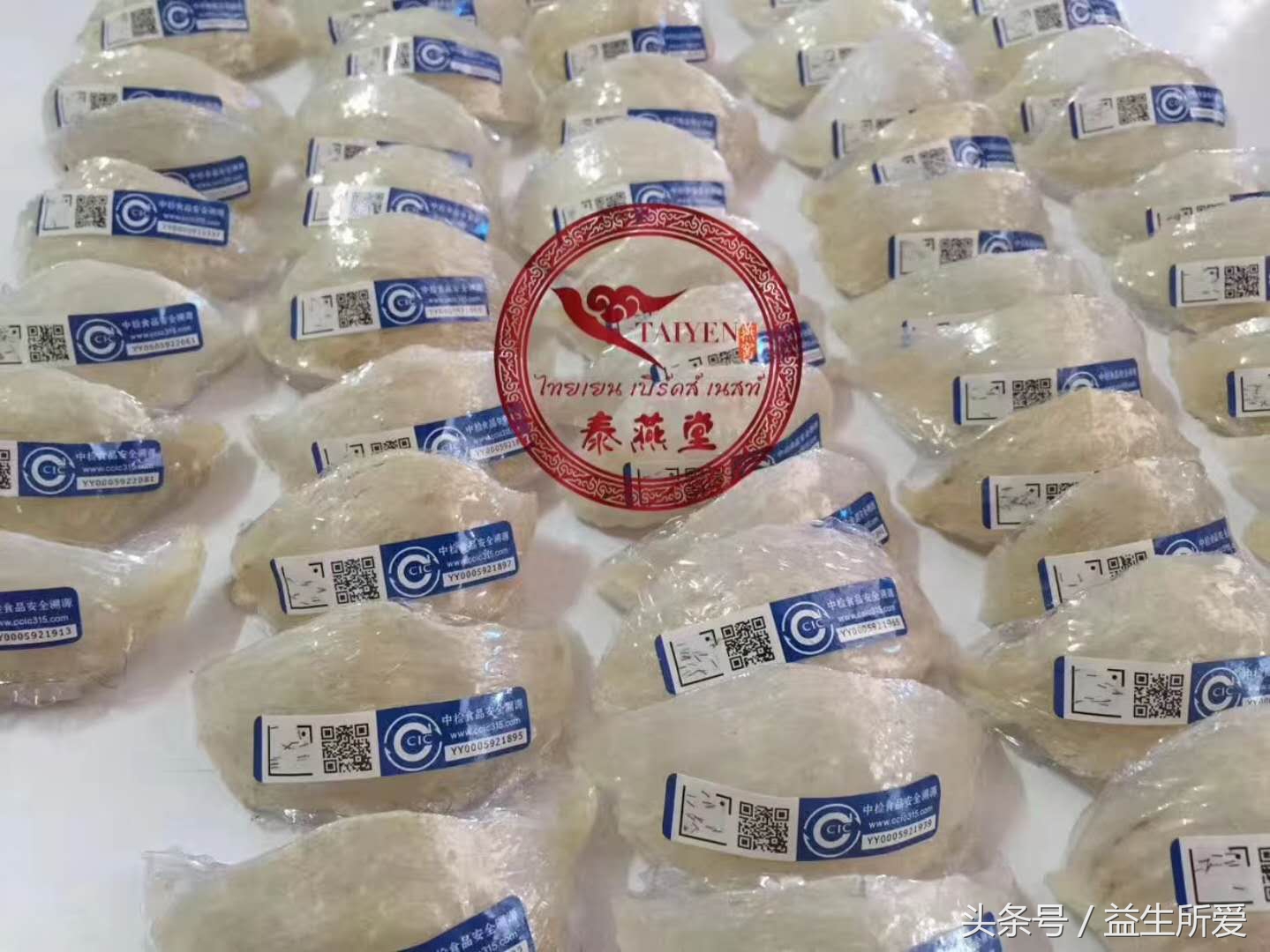 印尼燕窝和马来燕窝怎么区分,为什么泰国的鱼翅和燕窝那么便宜