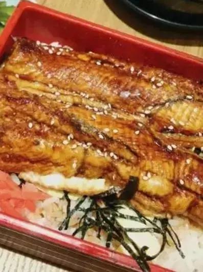 鳗鱼灭绝了么,鳗鱼在慢慢灭绝吗