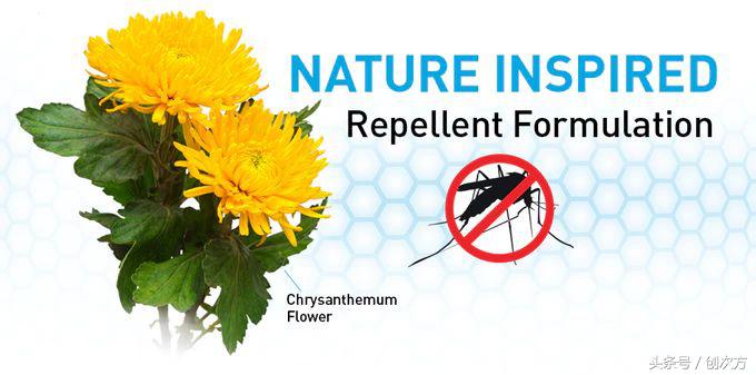 隐形蚊帐高清图片,隐形升降蚊帐电动