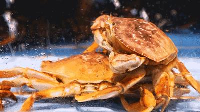 娉夊窞甯傚尯鍝簺姣旇緝濂界殑娴烽矞閰掓ゼ,娉夊窞娴烽矞缇庨鎺掕姒滃墠鍗佸悕