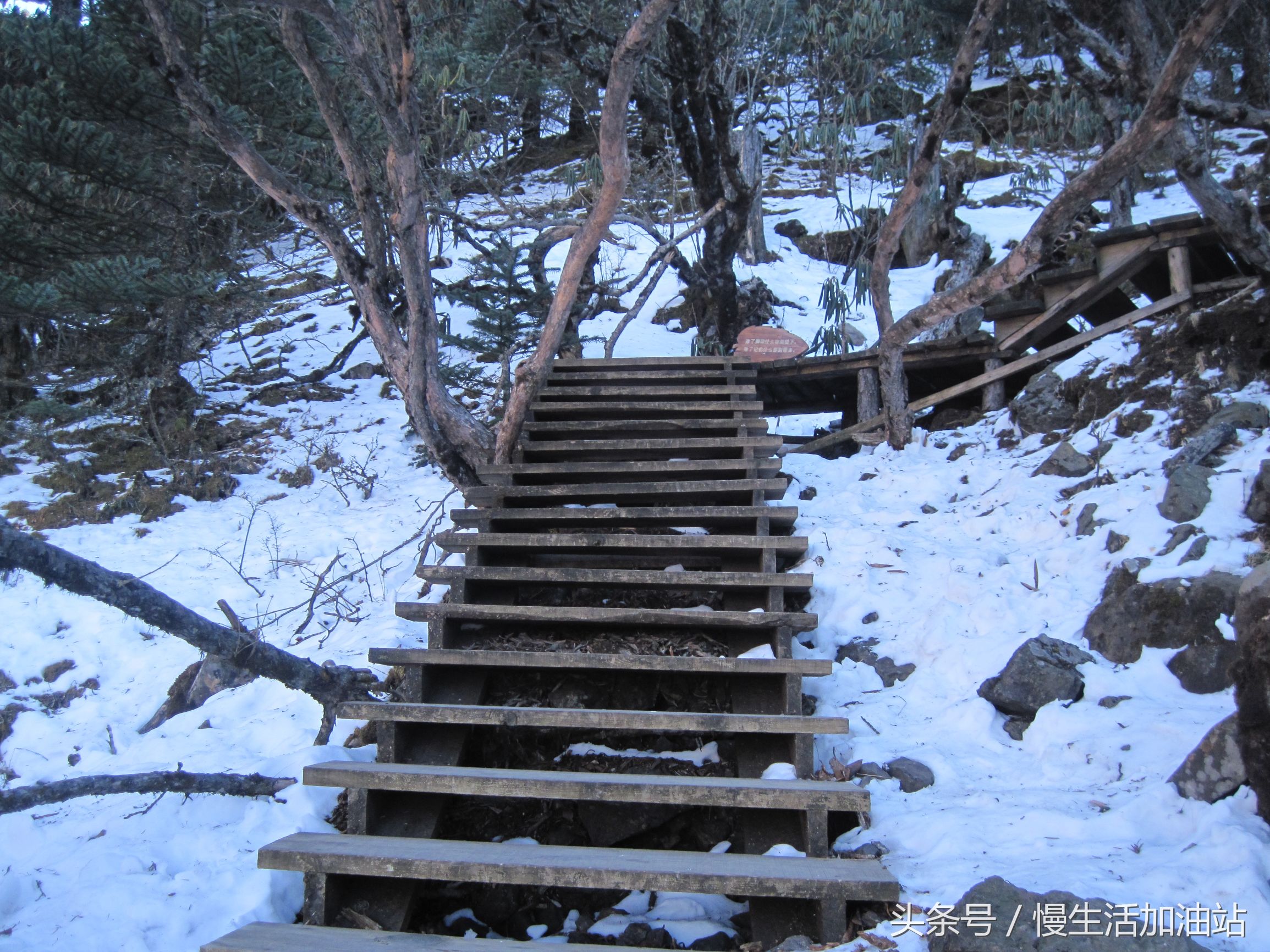 滇中轿子雪山风景区,滇中雪山