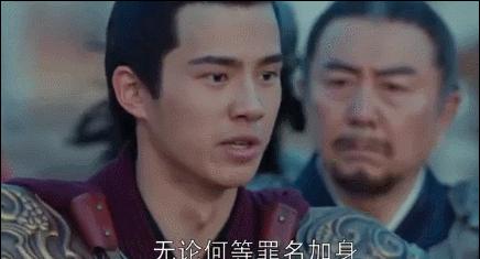 琅琊榜之风起长林看完后总结,琅琊榜之风起长林最后结局