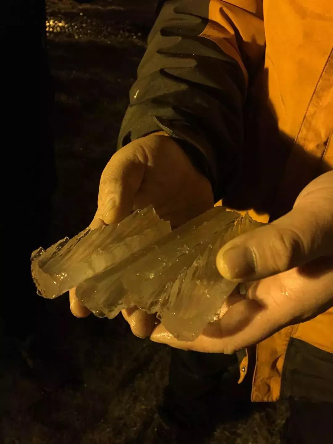 2018年，我们多了一名“抗冰战士”，你们猜是谁？