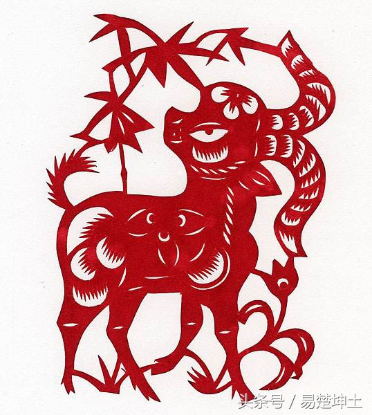 1月11日属虎水瓶座男的运程,1月27日水瓶座