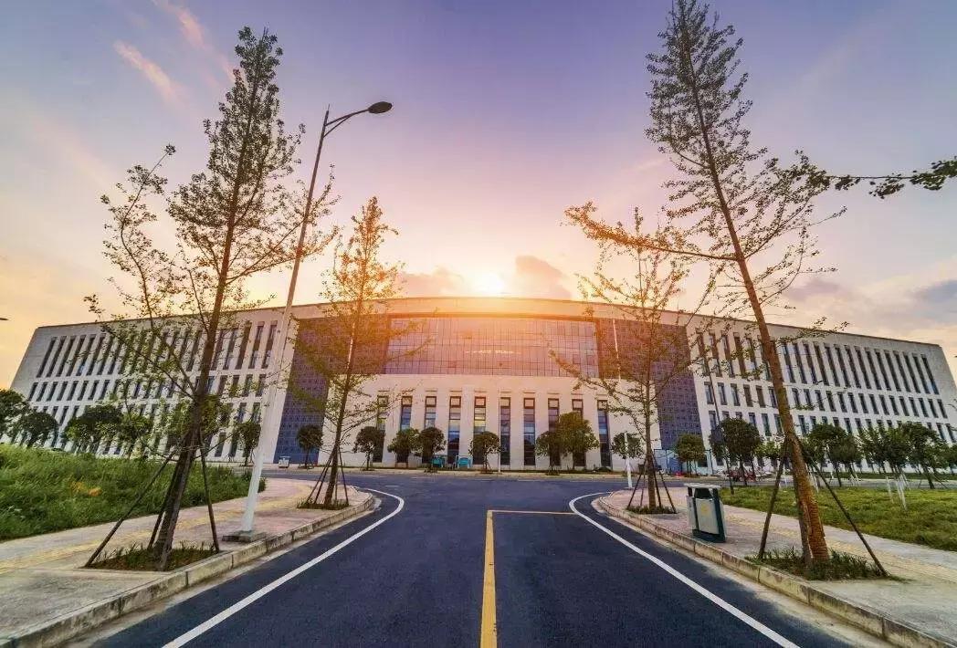 牛爆了原版视频,牛爆了