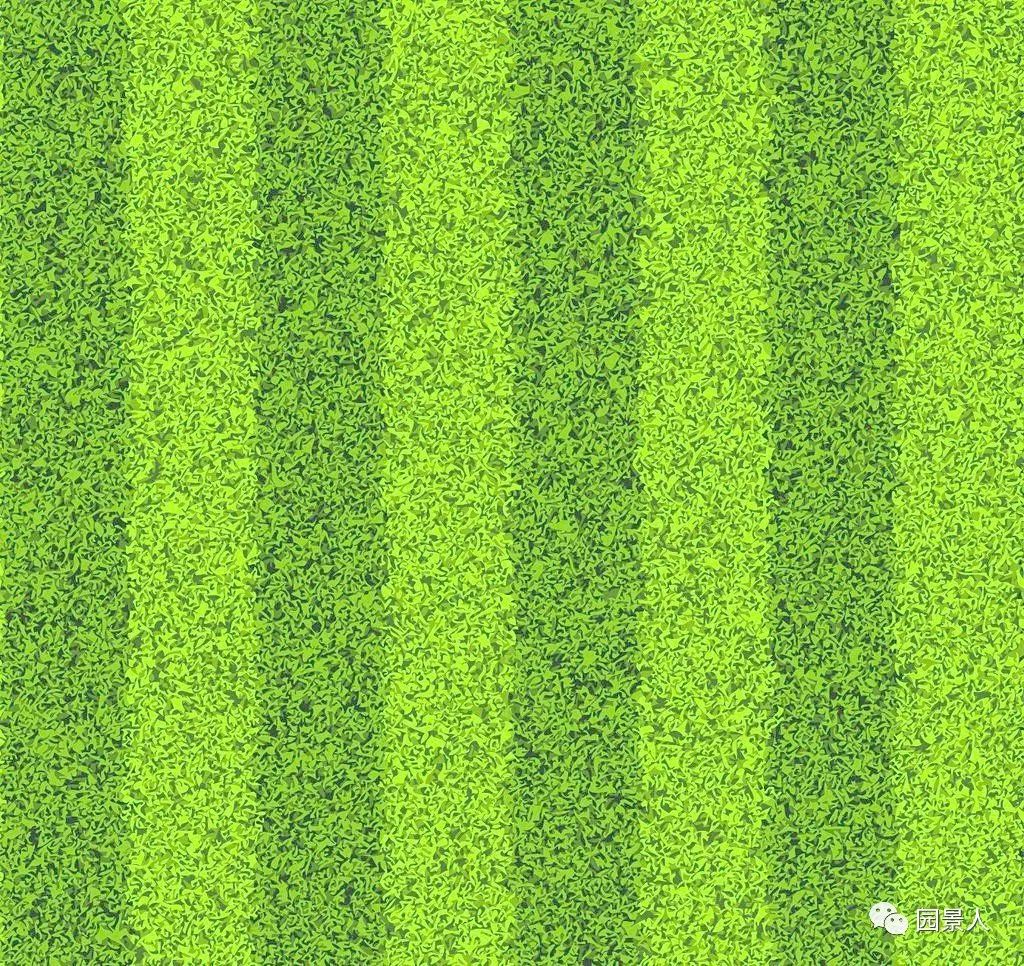 新铺的草坪怎么维护,草坪怎么维护保养