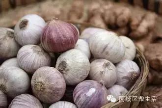 阿城现在的生活,阿城现在如何