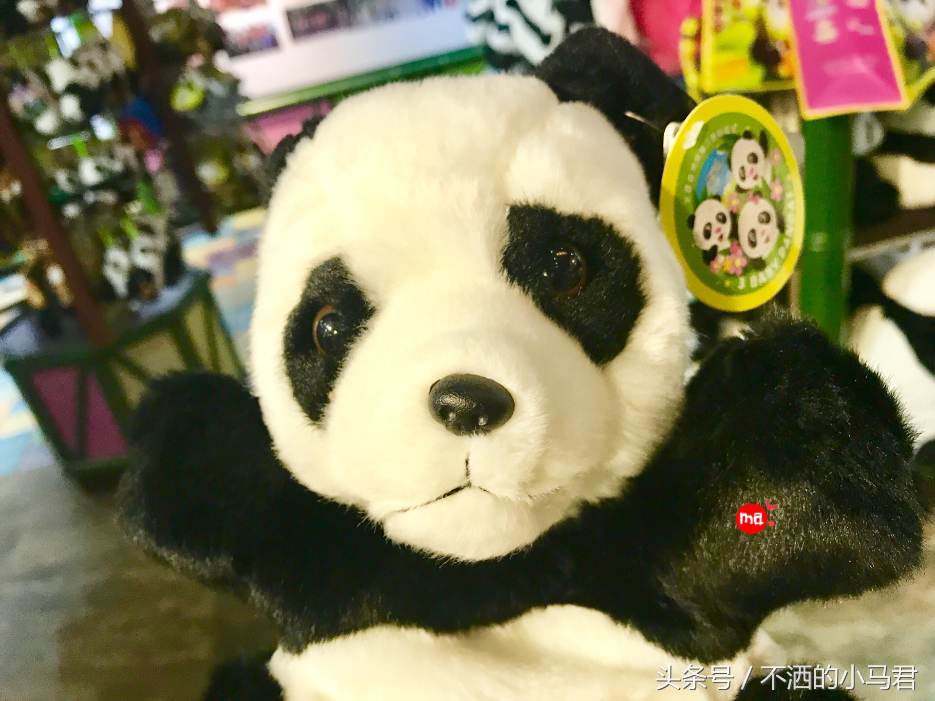 长隆野生动物园3天2晚亲子游,广州长隆野生动物园亲子游攻略