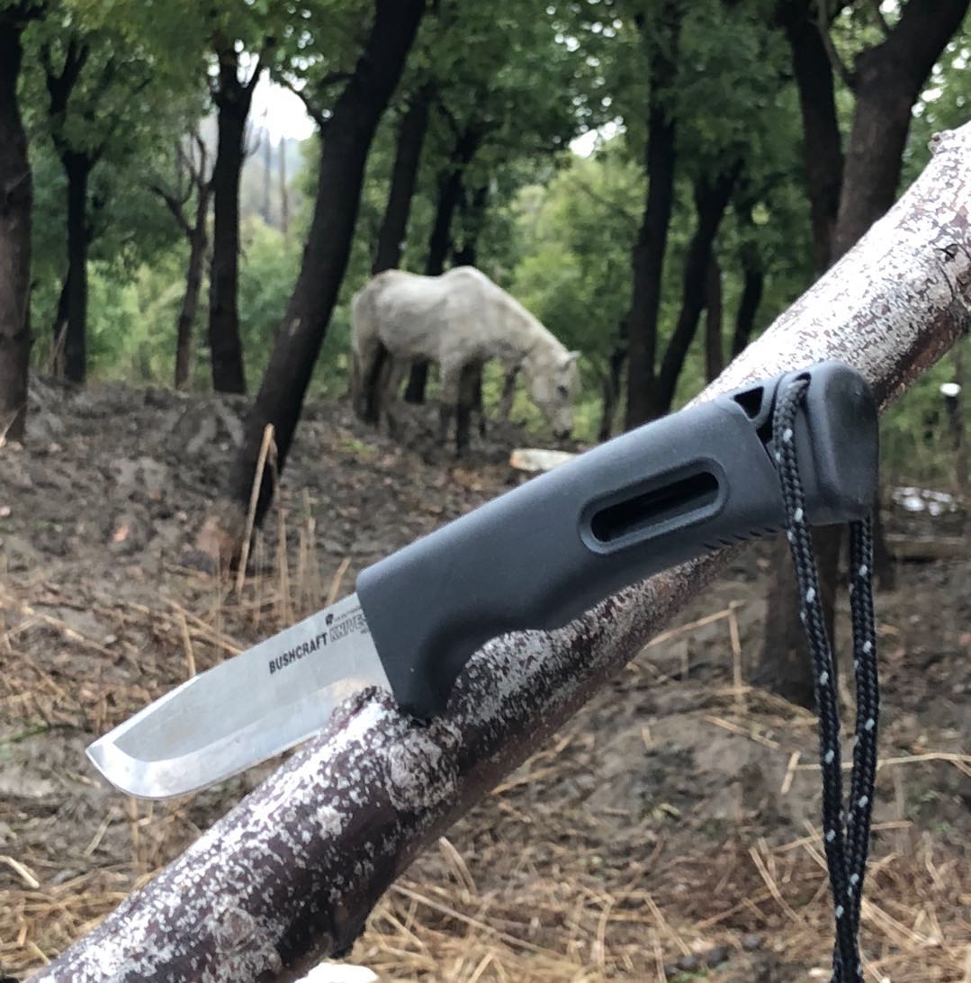 汉道生存大师2值得入手吗,汉道生存大师评测