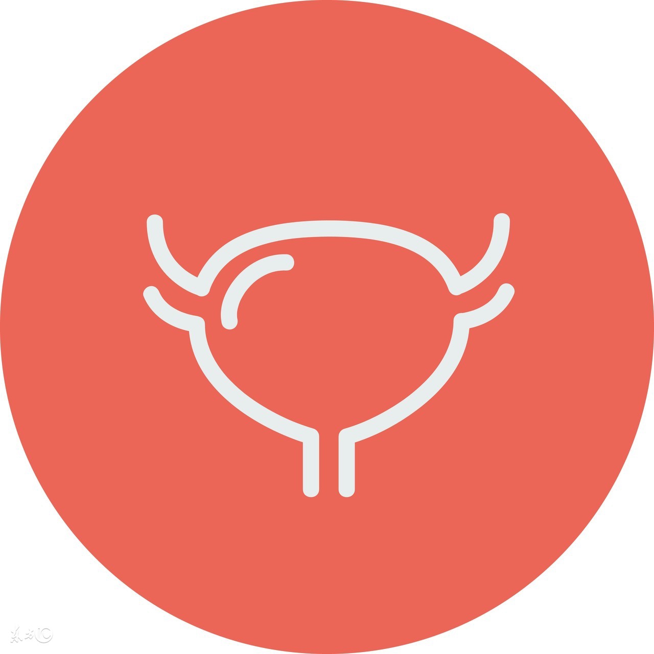 怀孕期间妈妈的子宫容易出现哪些问题？