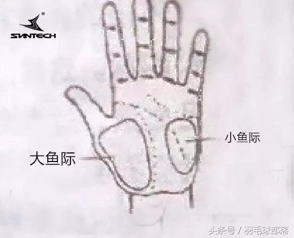 羽毛球干货,打羽毛球内容简短50字