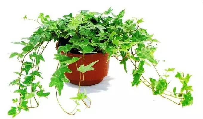 风水上卫生间应该注意什么,风水中如何消除湿气