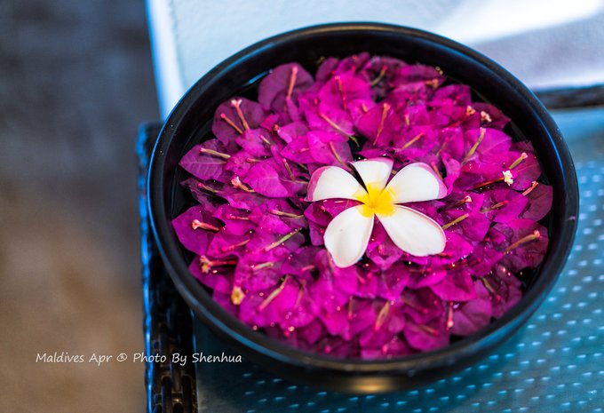 马尔代夫蓝色美人蕉岛,马尔代夫蓝色美人蕉旅游攻略