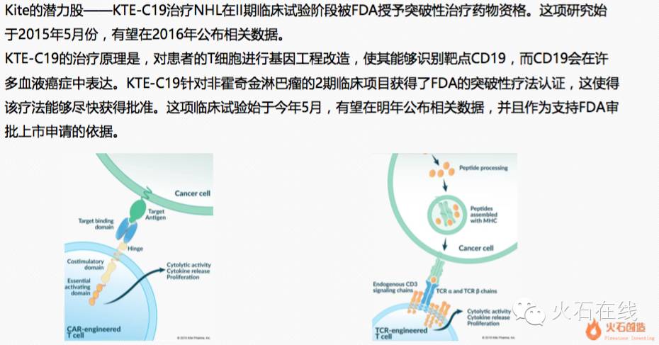 细胞治疗机构,细胞免疫治疗有哪些公司