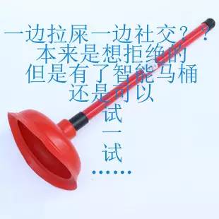 你们这么造秦岭，熊猫大大和朱鹮宝宝造吗？——极体营的小伙伴毕业了，他们的脑洞惊动了整个森林