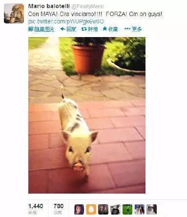 卡门的杂货铺|牵着大象去逛街，图说体坛明星的宠物情缘