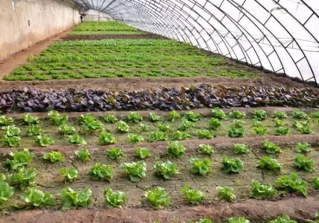 一家四口亲子游酒店推荐儿童房,京郊游景区住宿推荐最新