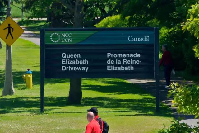 郁金香花节,全世界最大的郁金香