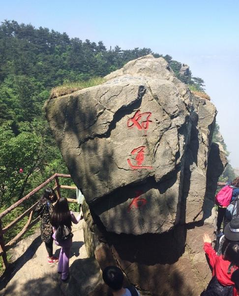 庐山花径公园有哪些花,庐山花径公园是什么意思