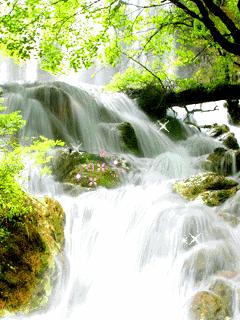 古诗词中的溪水|溪花与禅意相对亦忘言