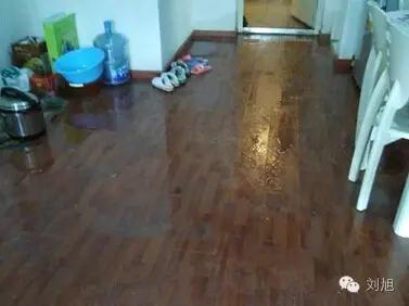 刘叫兽,刘叫兽原创视频