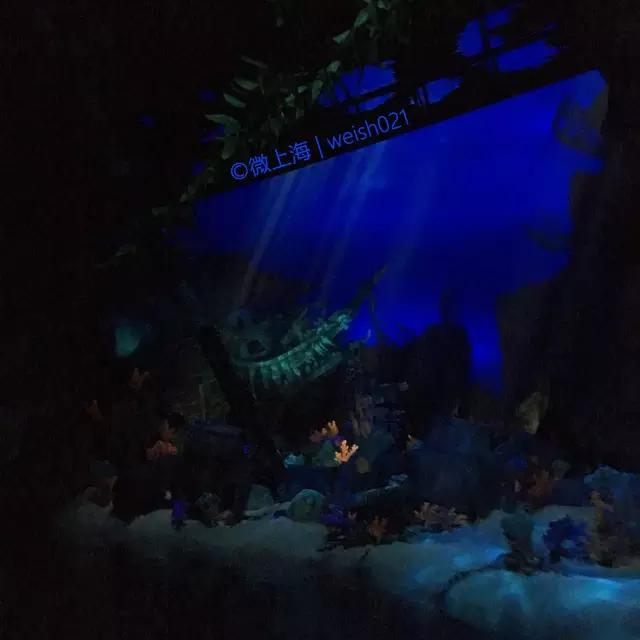 上海迪士尼有哪些可以玩的,上海迪士尼到底有啥玩