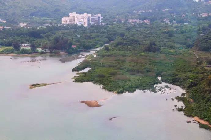 妈妈咪咪嘉年华的欢乐体验和香港郊区的生态怡然之旅