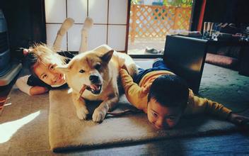 狗狗皮肤病吃什么药可以治疗,狗狗皮肤病治疗的视频