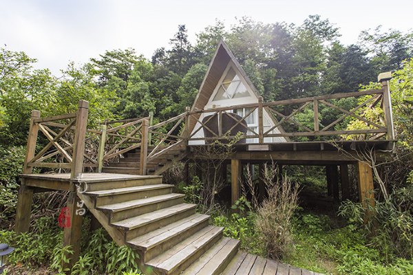 养在深闺里无人知,养在深闺无人识全文