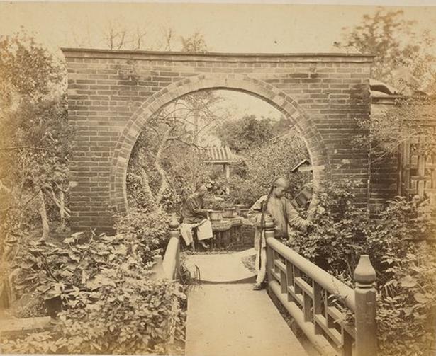 三鞭参茸固本丸功效与作用禁忌,同仁堂固本丸