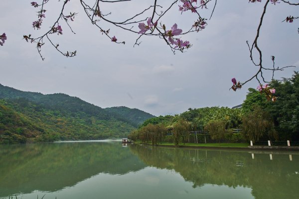 从化温泉之旅,从化文轩苑温泉攻略
