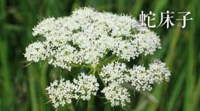 夏季季节性湿疹,儿童夏季湿疹预防