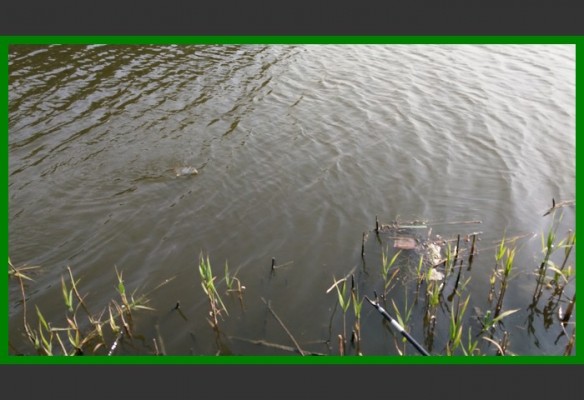 閲庨挀鐑х儰缁濅匠鐮佸ご,鎺ㄨ崘閽撻奔鐑х儰