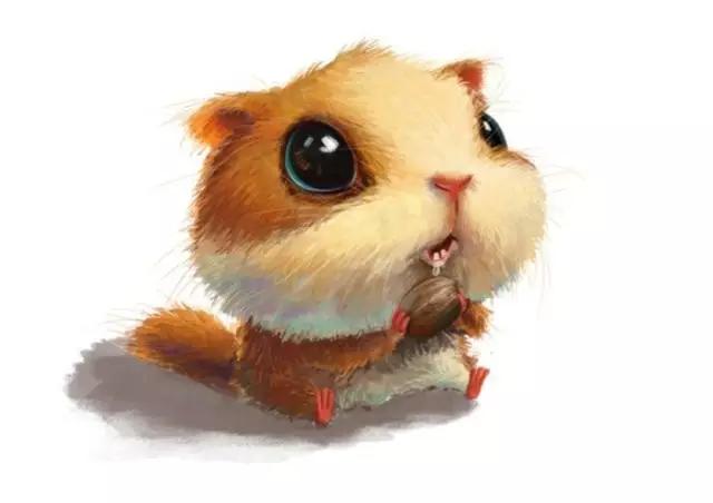 低卡的食物真的低卡吗,你以为的食物低卡对比