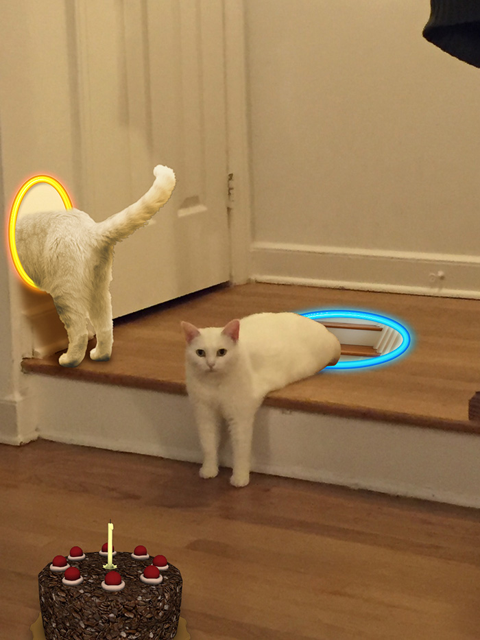 喵星人被恶搞了,喵星人下楼梯