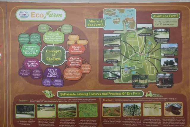 悦榕庄banyantree酒店,新加坡民丹岛酒店攻略