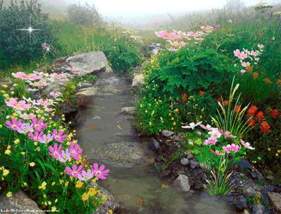 古诗词中的溪水|溪花与禅意相对亦忘言