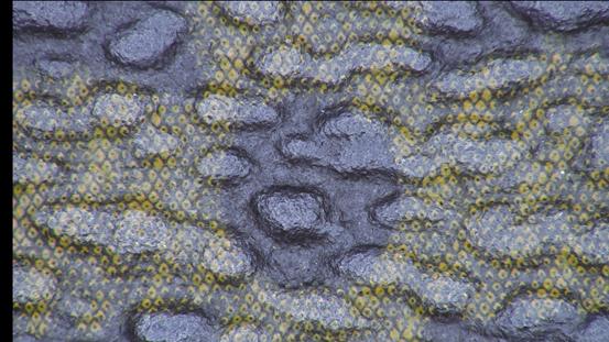 花正品的钱为啥你买的是假包？