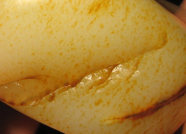 老熟和田籽玉,和田玉籽料知识讲解