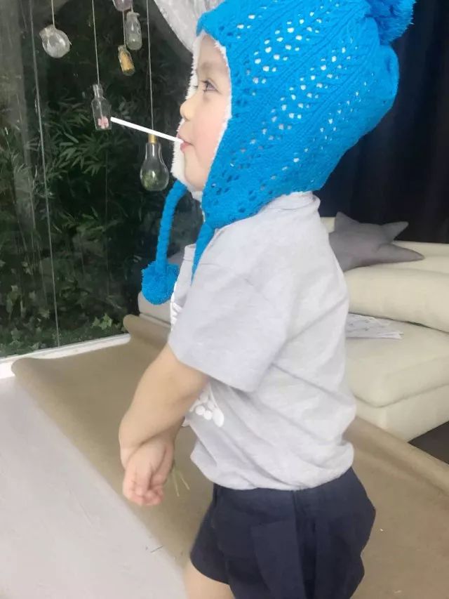 红心夫妇带队软萌宝贝和蠢萌宠物