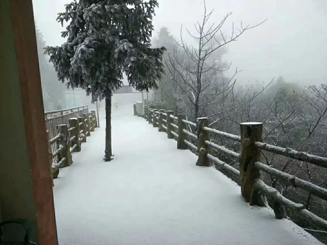 华蓥山风景区下雪了吗,华蓥山2022年2月1号下雪了吗