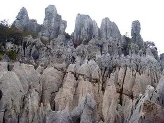华蓥山风景区下雪了吗,华蓥山2022年2月1号下雪了吗