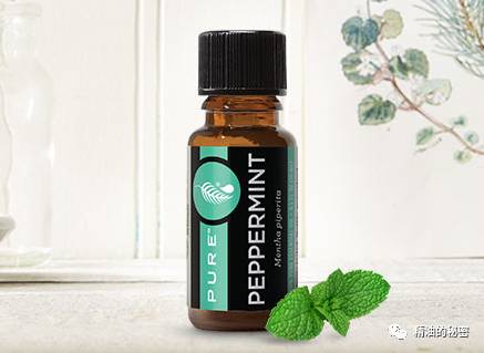 精油5大功效,用这10种精油搞定生活中常见病症