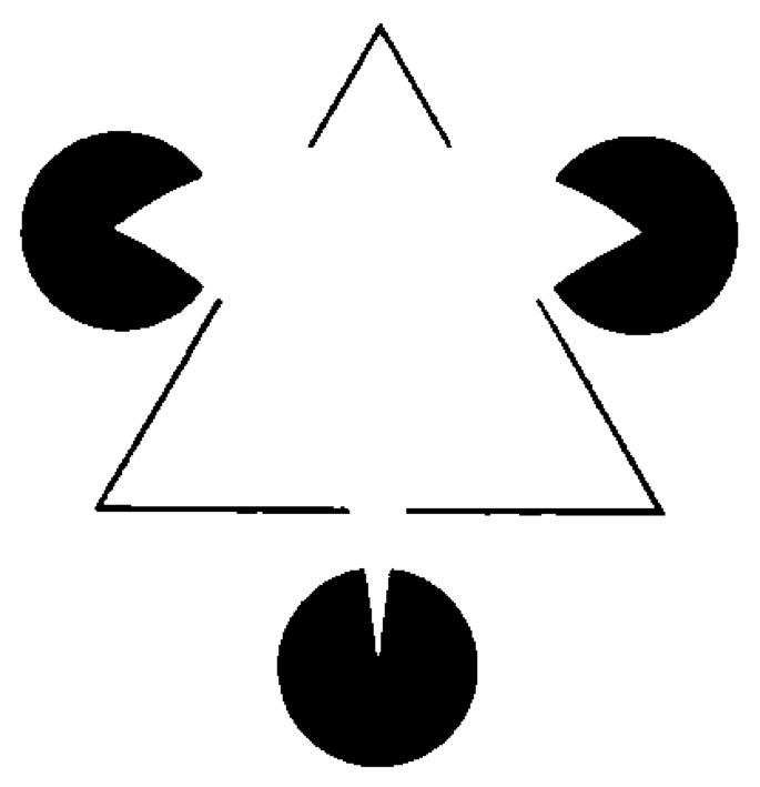 从意识的多重草稿模型到心流｜新书推荐