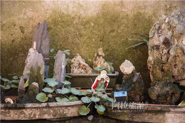 鄞州区姜山老街,姜山古街历史