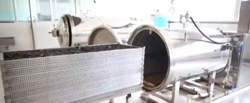 十块钱吃海鲜,吃海参的秘密